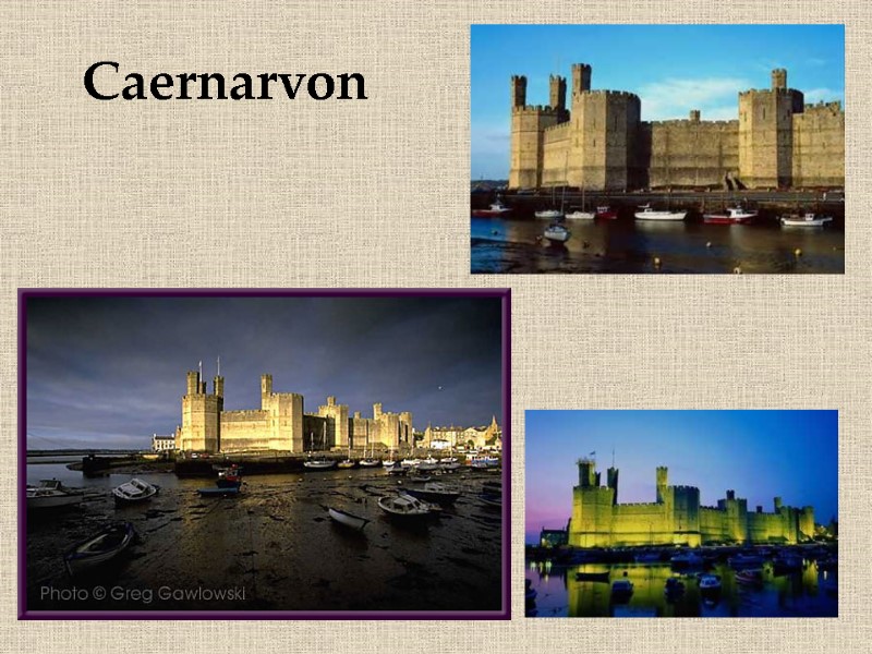 65 Caernarvon